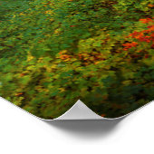 Multnomah Herfsten | Columbia River Gorge, Oregon Poster (Hoek)