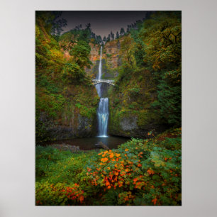 Multnomah Herfsten Columbia River Gorge, Oregon Poster