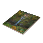 Multnomah Herfsten | Columbia River Gorge, Oregon Tegeltje (Zijkant)