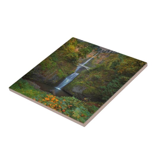 Multnomah Herfsten | Columbia River Gorge, Oregon Tegeltje (Zijkant)