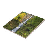 Multnomah-Herfsten, Columbia River Gorge, Oregon Tegeltje (Zijkant)