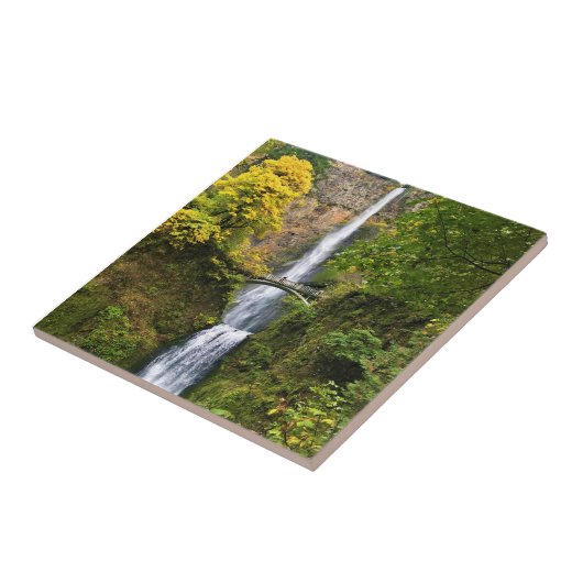 Multnomah-Herfsten, Columbia River Gorge, Oregon Tegeltje (Zijkant)