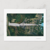 Multnomah-Herfsten en Benson Foot Bridge 2 Briefkaart (Voorkant)