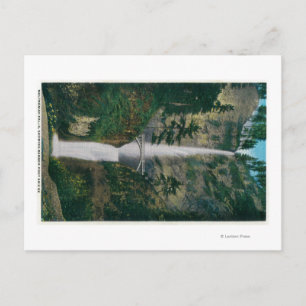 Multnomah-Herfsten en Benson Foot Bridge 2 Briefkaart