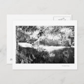 Multnomah-Herfsten-fotoColumbia River, OF Briefkaart (Voorkant / Achterkant)