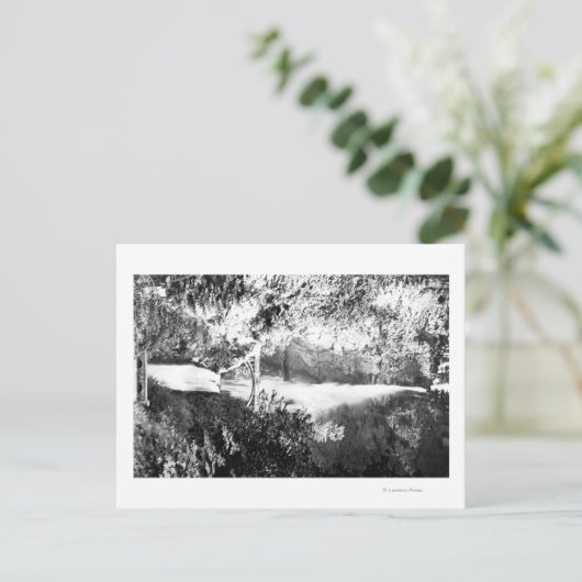 Multnomah-Herfsten-fotoColumbia River, OF Briefkaart (Staand voorkant)