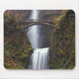 Multnomah-Herfsten in de late herfst Muismat