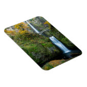 Multnomah-Herfsten in het najaar van de koloniale  Magneet (Rechterzijde)