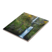 Multnomah-Herfsten in het najaar van de koloniale Tegeltje (Zijkant)