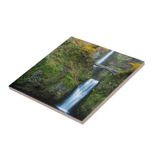 Multnomah-Herfsten in het najaar van de koloniale  Tegeltje (Zijkant)