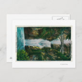 Multnomah-Herfsten op de Columbia River Briefkaart (Voorkant / Achterkant)