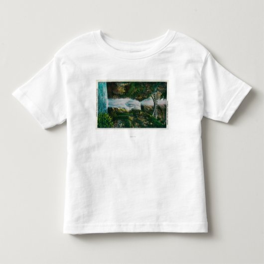 Multnomah-Herfsten op de Columbia River Kinder Shirts (Voorkant)