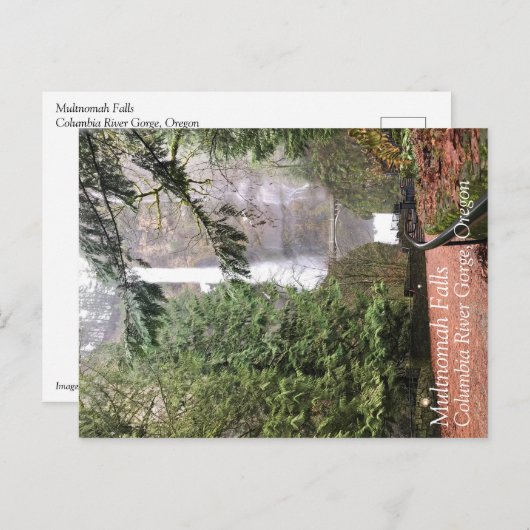 Multnomah-Herfsten, Oregon Briefkaart (Voorkant / Achterkant)