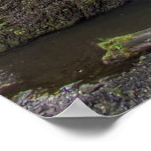 MULTNOMAH HERFSTEN POSTER (Hoek)