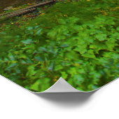 Multnomah Herfsten Waterfall Photo Print (Hoek)