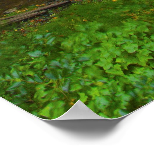 Multnomah Herfsten Waterfall Photo Print (Hoek)