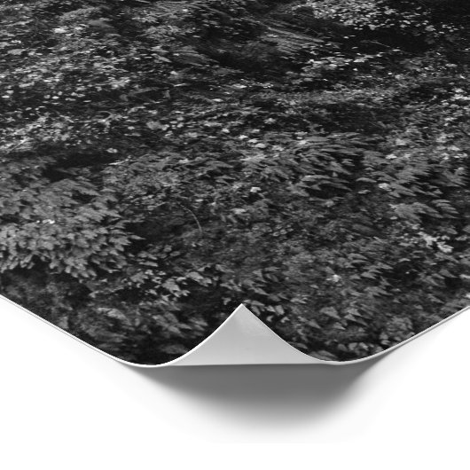 Multnomah Herfsten Waterval met Benson Bridge Poster (Hoek)