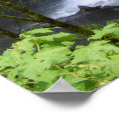 Multnomah Waterfall Poster (Hoek)