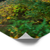 Multnomah-watervallen in de herfst in de Columbia- Poster (Hoek)