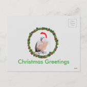 Muluccan Cockatkato Santa Feestdagenkaart (Achterkant)