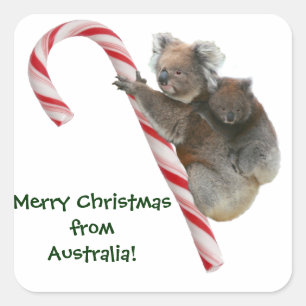 Mum en Joey Koala Candy Cane Kerstmis Vierkante Sticker