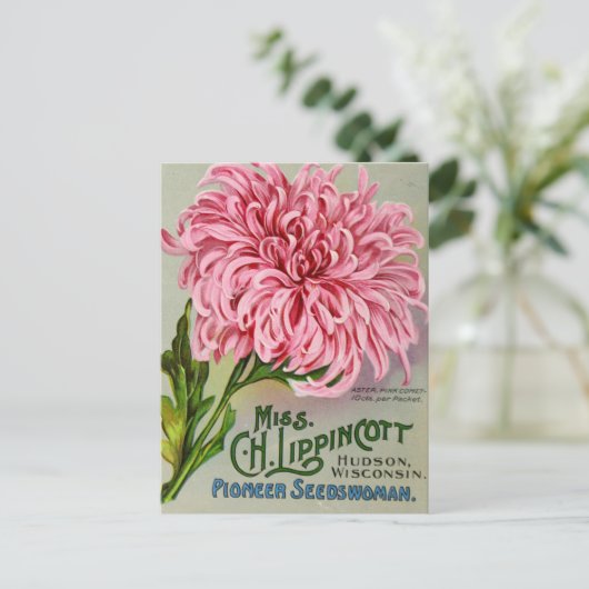 Mum Flower Chrysanthemum  Briefkaart (Staand voorkant)
