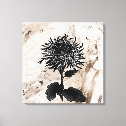 Mum Grandiflora Zwart Canvas Afdruk (Voorkant)