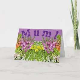 MUM! Kaart