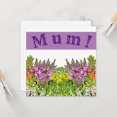 MUM! Kaart (Voorkant / Achterkant in situ)