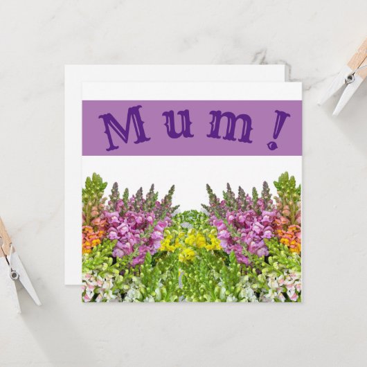 MUM! Kaart (Voorkant / Achterkant in situ)