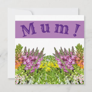 MUM! Kaart