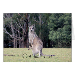 Mum Kangaroo met Baby Joey in haar zak