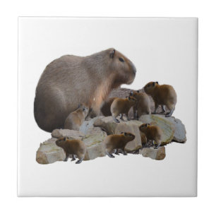 Mummie en baby capibara's, tegeltje