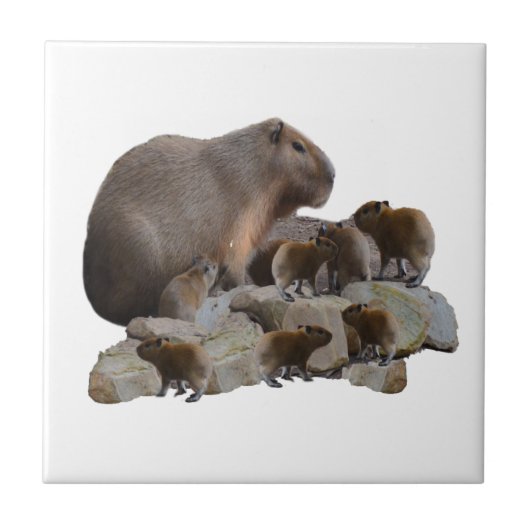 Mummie en baby capibara's, tegeltje (Voorkant)
