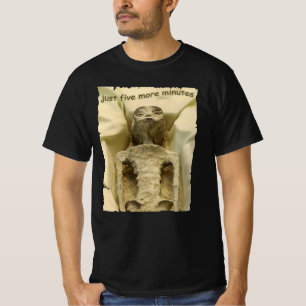 Mummie uit de ruimte Grappig NASA UFO Mystery T-shirt
