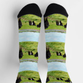 Mummy and Babies Galloway Koe, Sokken van bemannin (Top)