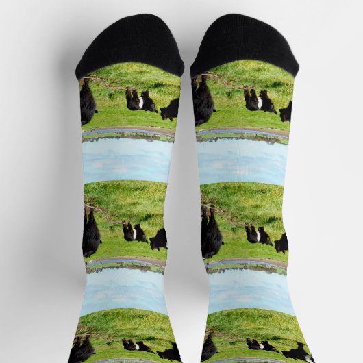 Mummy and Babies Galloway Koe, Sokken van bemannin (Top)