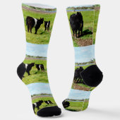 Mummy and Babies Galloway Koe, Sokken van bemannin (Gebogen)