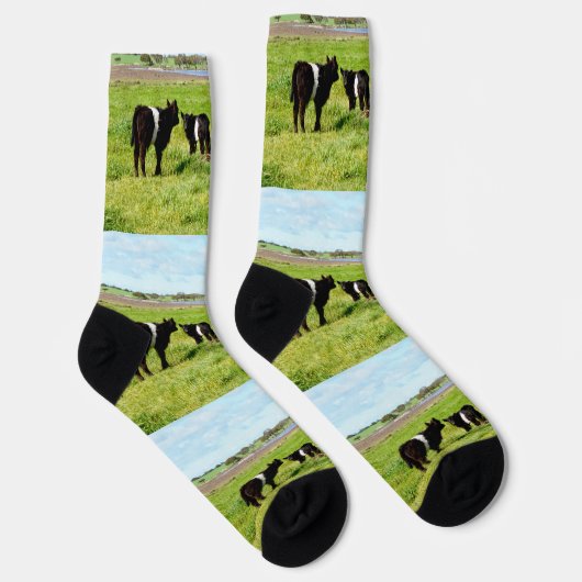 Mummy and Babies Galloway Koe, Sokken van bemannin (Rechts)