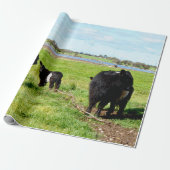 Mummy and Baby Galloway Koe, Gift Wrap Cadeaupapier (Uitgerold)