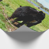 Mummy and Baby Galloway Koe, Gift Wrap Cadeaupapier (Hoek)