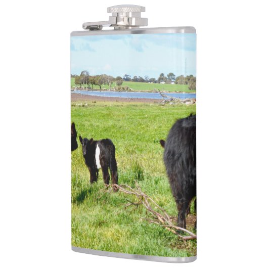 Mummy and Baby Galloway Koe, Hip Flask Heupfles (Links)