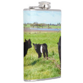 Mummy and Baby Galloway Koe, Hip Flask Heupfles (Rechts)