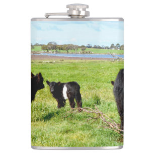 Mummy and Baby Galloway Koe, Hip Flask Heupfles