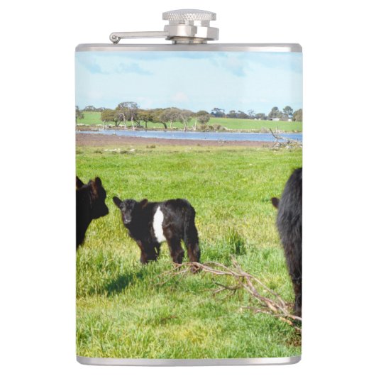 Mummy and Baby Galloway Koe, Hip Flask Heupfles (Voorkant)