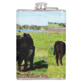 Mummy and Baby Galloway Koe, Hip Flask Heupfles (Achterkant)