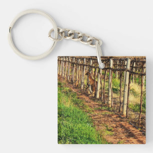 Mummy en Baby Australian Kangaroo, Sleutelhanger