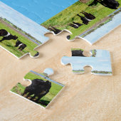 Mummy en Baby Belted Galloway Koeien, Legpuzzel (Zijkant)