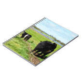 Mummy en Baby Galloway Koe, Notitieboek (Linkerzijde)