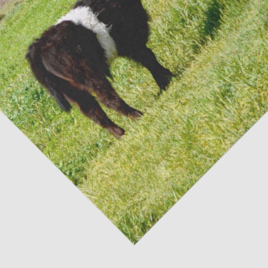 Mummy en Baby Galloway Koe, tissuepapier (Detail)